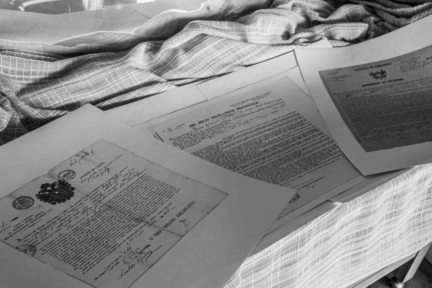 fesibility study